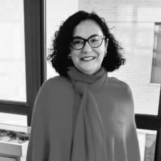 Iraci Nogueira - Joaquim Maria Machado de Assis - A pena da galhofa e a tinta da melancolia